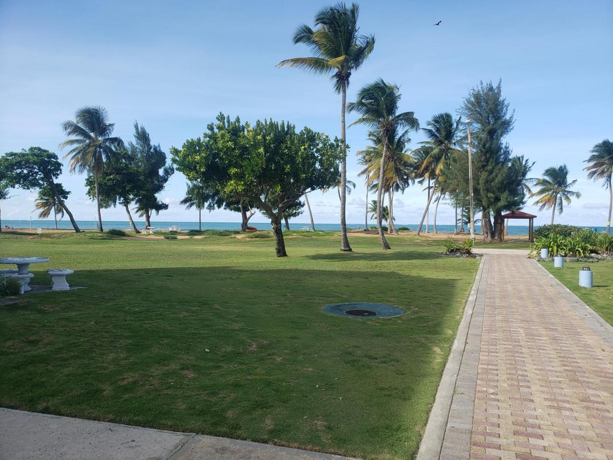 Relax Beachfront Complex At Rio Grande Apartment Exterior photo